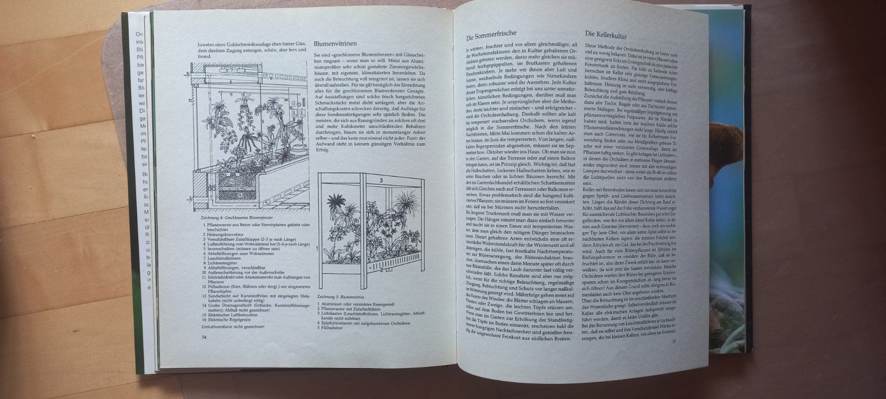 Libri: Freunde an Orchideen (Graebner) 1982 – Usato da Montricher venduto da Babou72 1