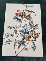 AK botanische Illustration Natur Kunstkarte