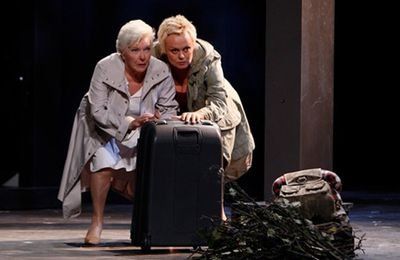 Tutti i DVDs: FUGUEUSES / Line Renaud, Muriel Robin – Usato da Porrentruy venduto da Olifante 1