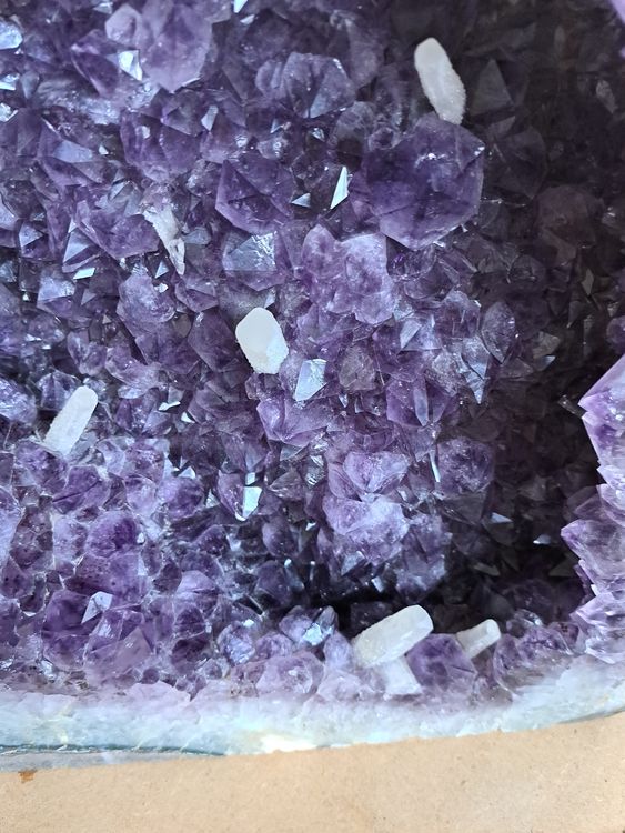 wunderschöne grosse Amethyst Druse, 36,2 kg schwer 3