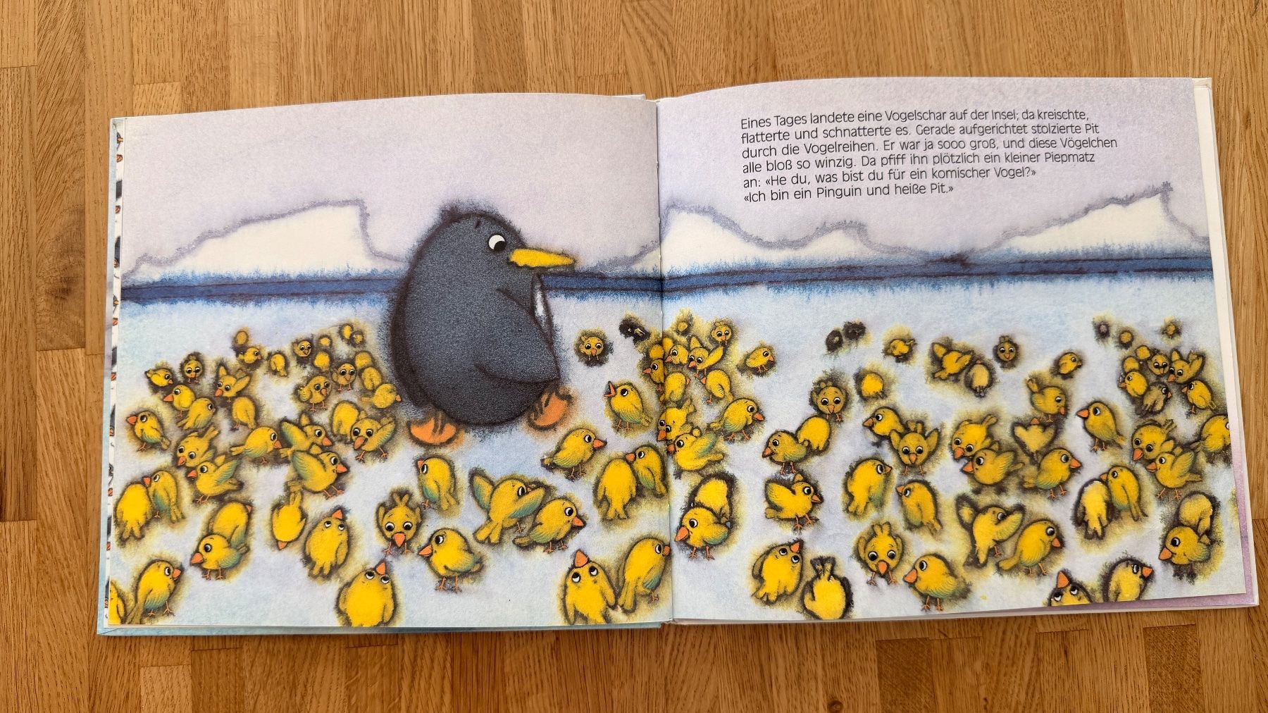 Libri: Buch - Pinguin Pit – Usato da Winterthur venduto da Secondhand-Family 6