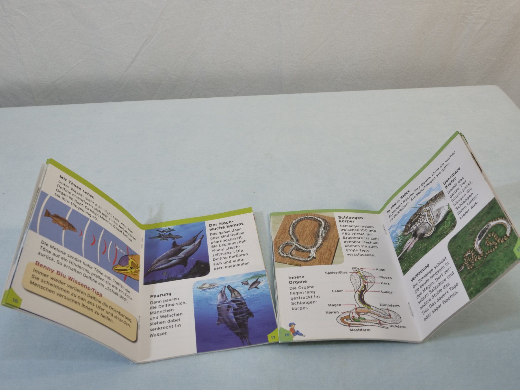Bücher: Lot:6 verschiedene Büchlein: Benny Blu – Gebraucht aus Lustmühle von Glatisant 2