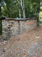 Brennholz