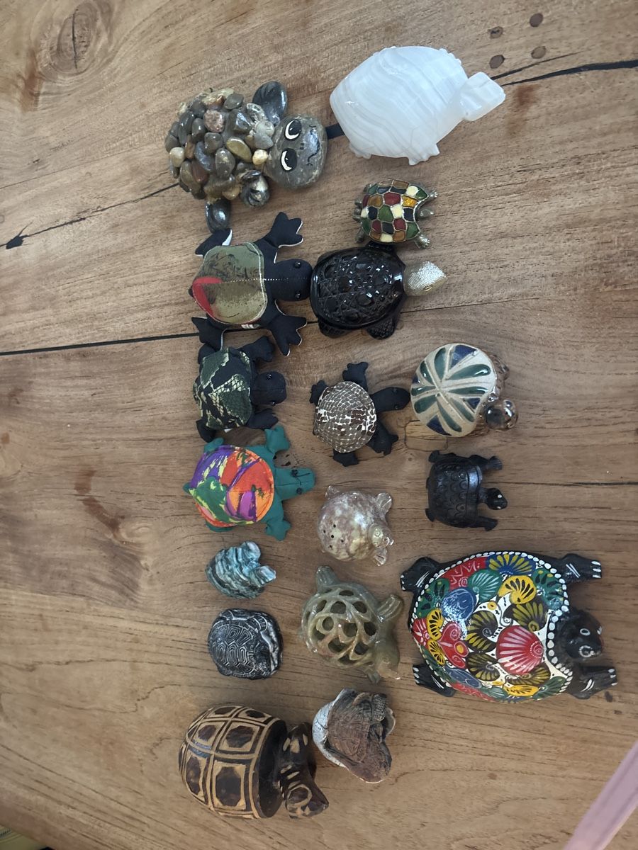 Figuren: 1 Lot Schildkröten – Gebraucht aus Kriens von Wundertuete17