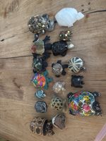 1 Lot Schildkröten