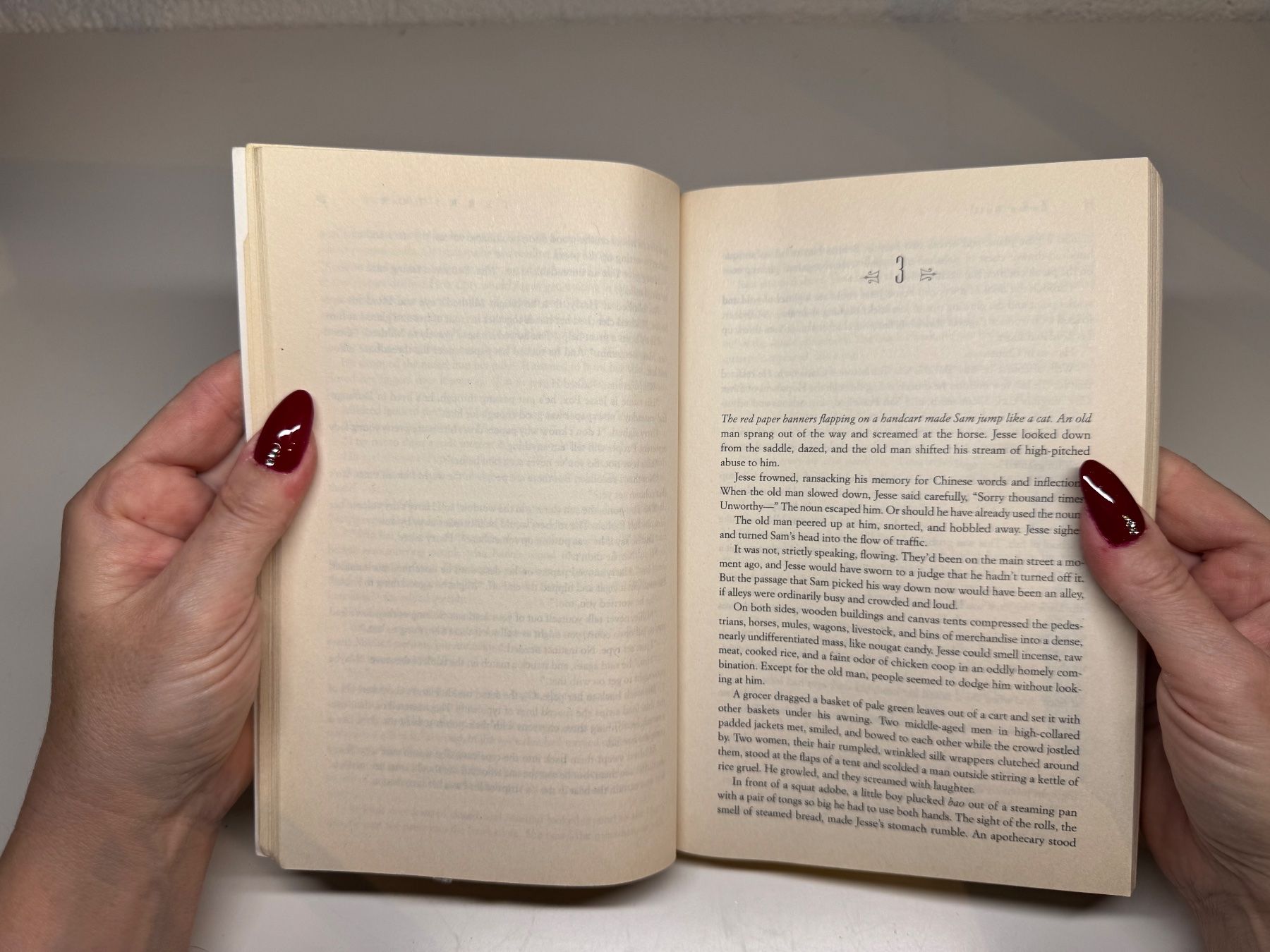 Libri: NOVEL: Emma Bull, Territory – Usato da Grosswangen venduto da English_books 5