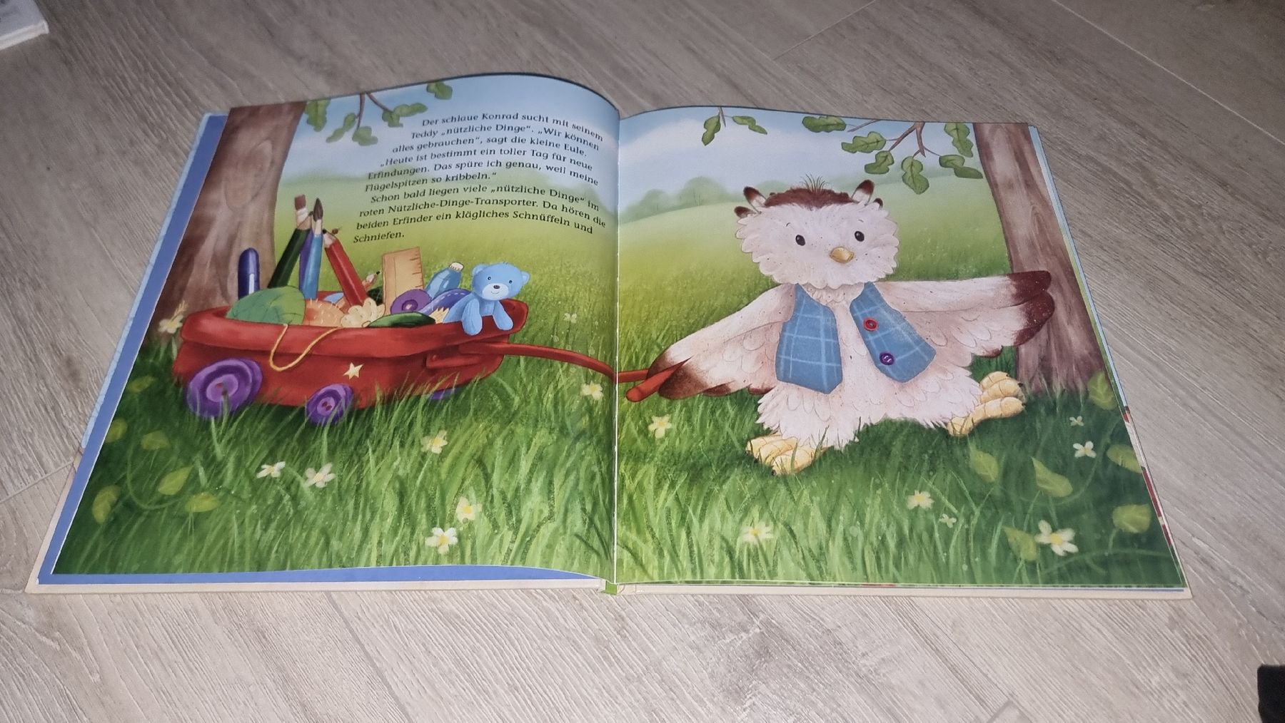 Libri: Kinderbuch "Die kleine Eule" Freundschaft – Usato da Wigoltingen venduto da Zuckerfee84 4
