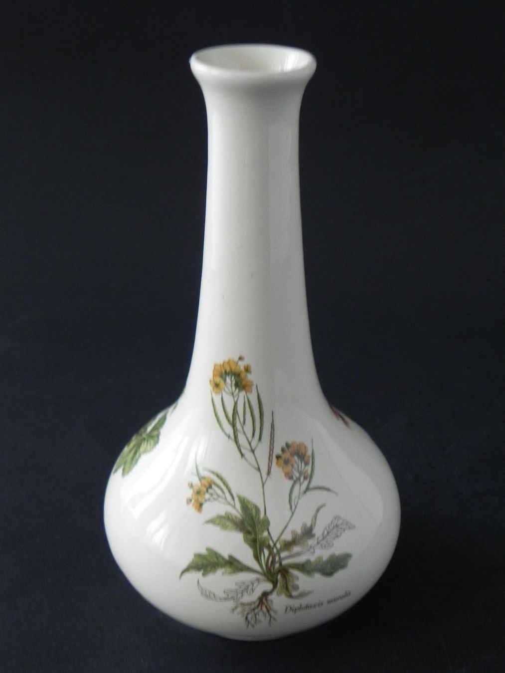 Vasi & Recipienti: Hübsche kleine Vase Poole - England – Nuovo (secondo la descrizione) da Zürich venduto da LodgE-21