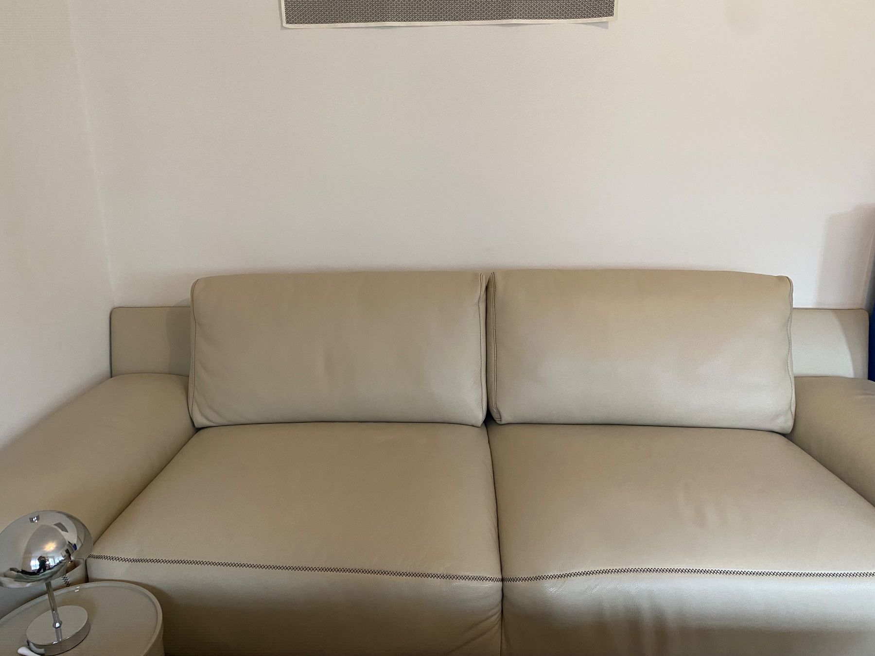 Divani: Designer Ledersofa – Usato da Basel venduto da ala_5gwv
