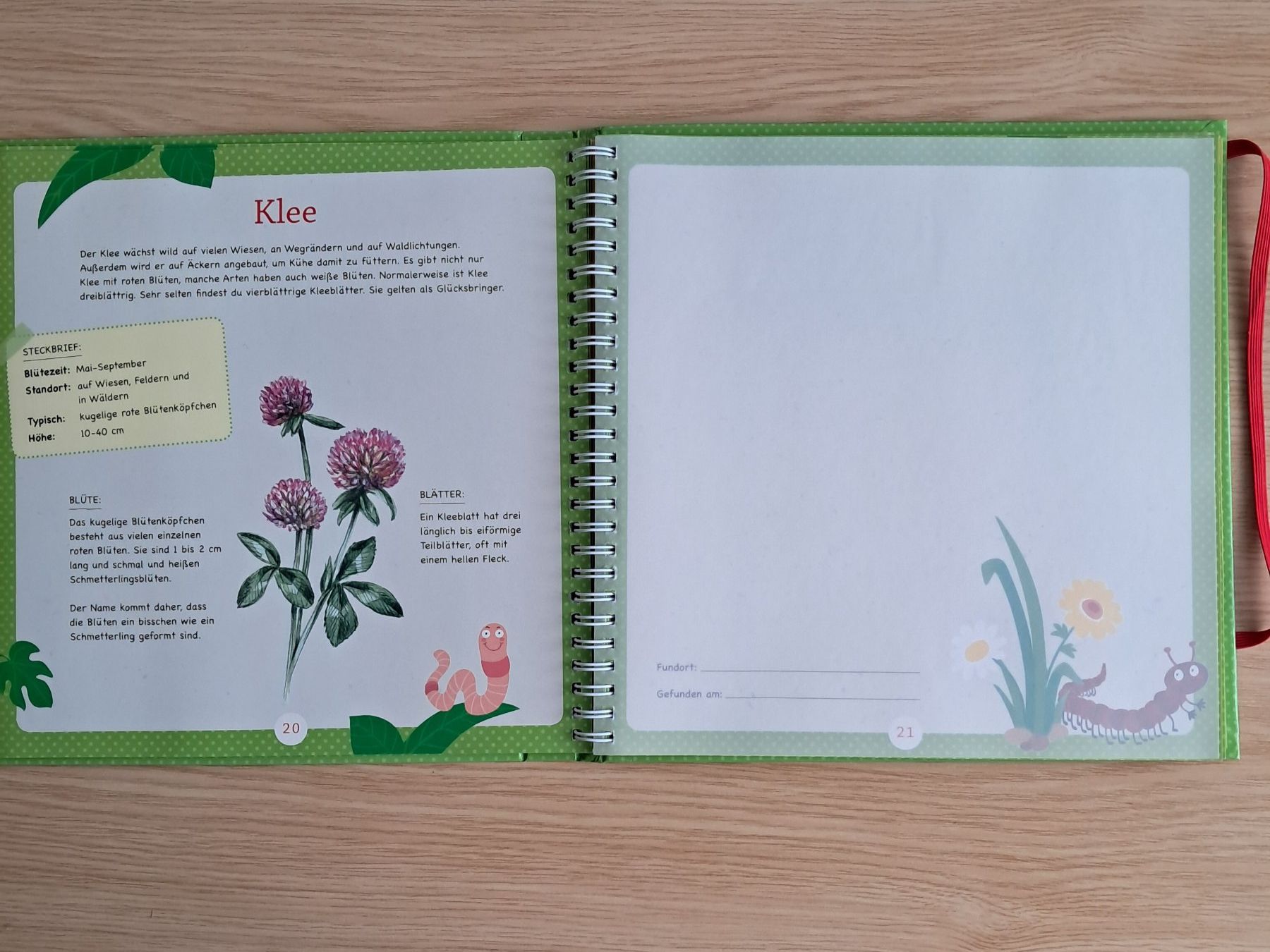 Bücher: Sammelbuch Kinder "Blüten & Blätter sammeln" – Gebraucht aus Meilen von Vaurien15 4