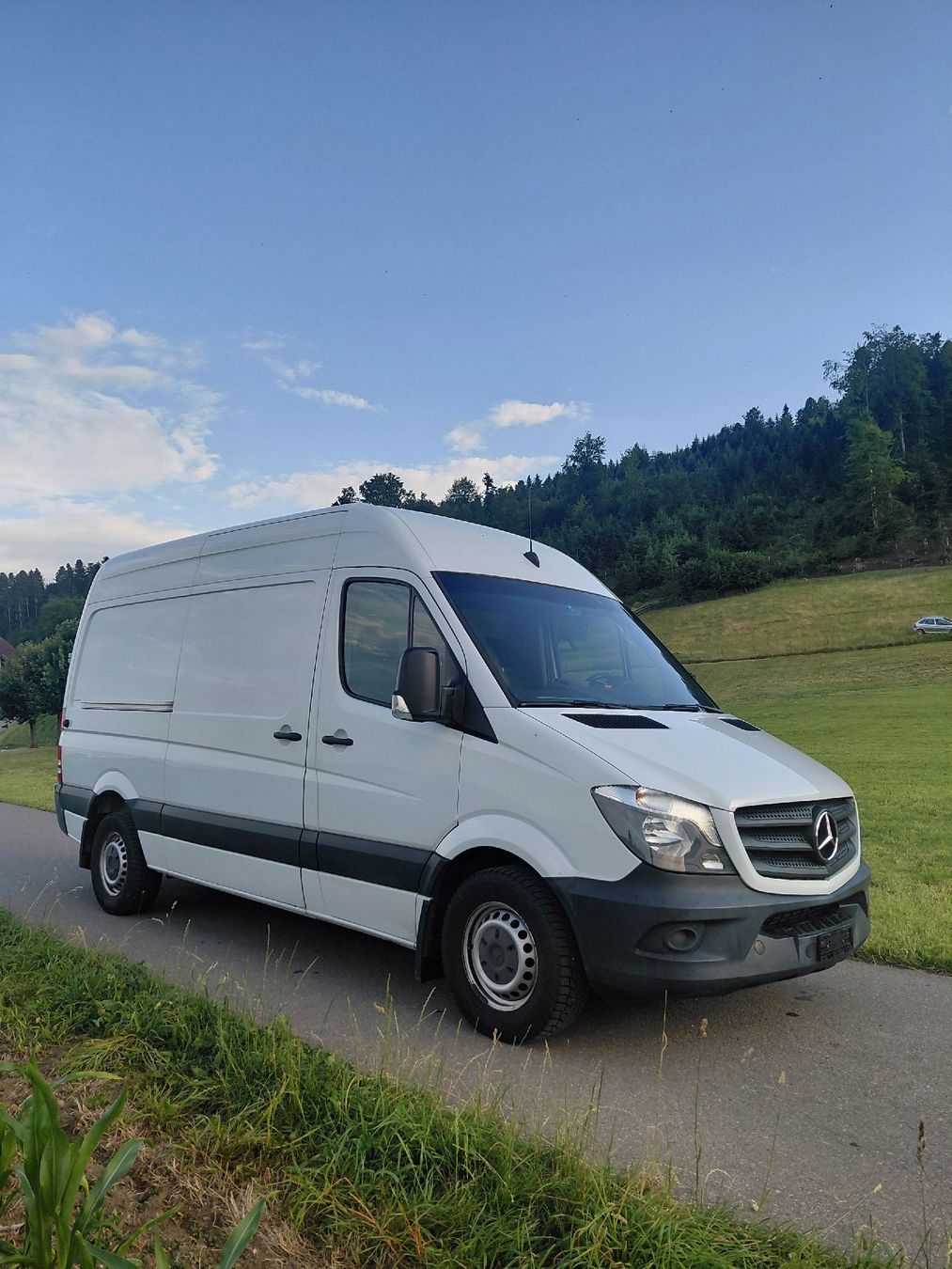 Mercedes-Benz Nutzfahrzeuge: Mercedes-Benz Sprinter 316 Ab MFK & Service – Gebraucht aus Ettiswil von Emx99 3