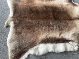 Fell Rentier, NEU, echtes Fell von Finnland, 130 cm gross