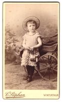 Fotografie C. Stephan, Winterthur, niedl