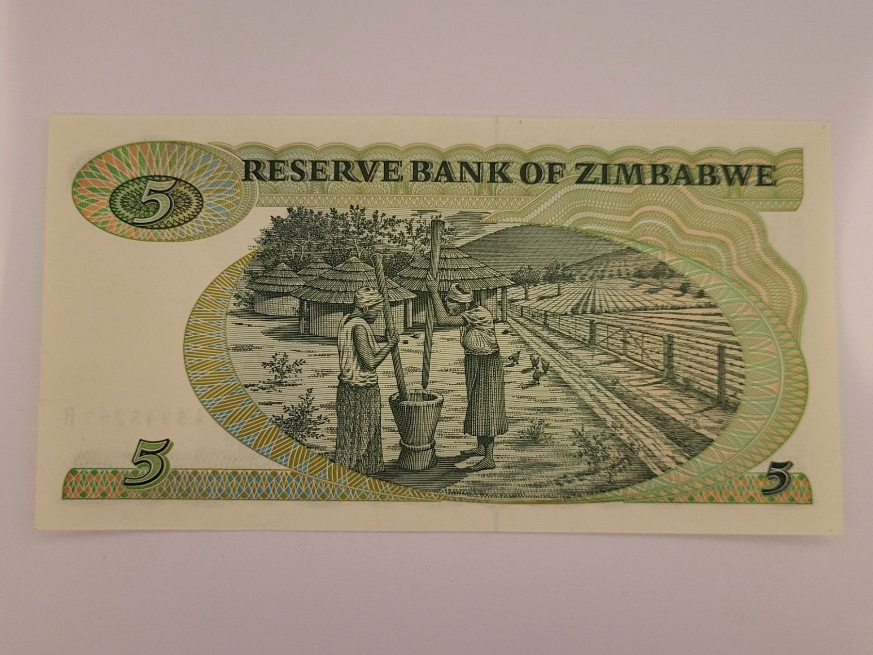 Banconote: 5 Dollar Zimbabwe 1994 – Nuovo (secondo la descrizione) da Pravidondaz venduto da LVtik 1