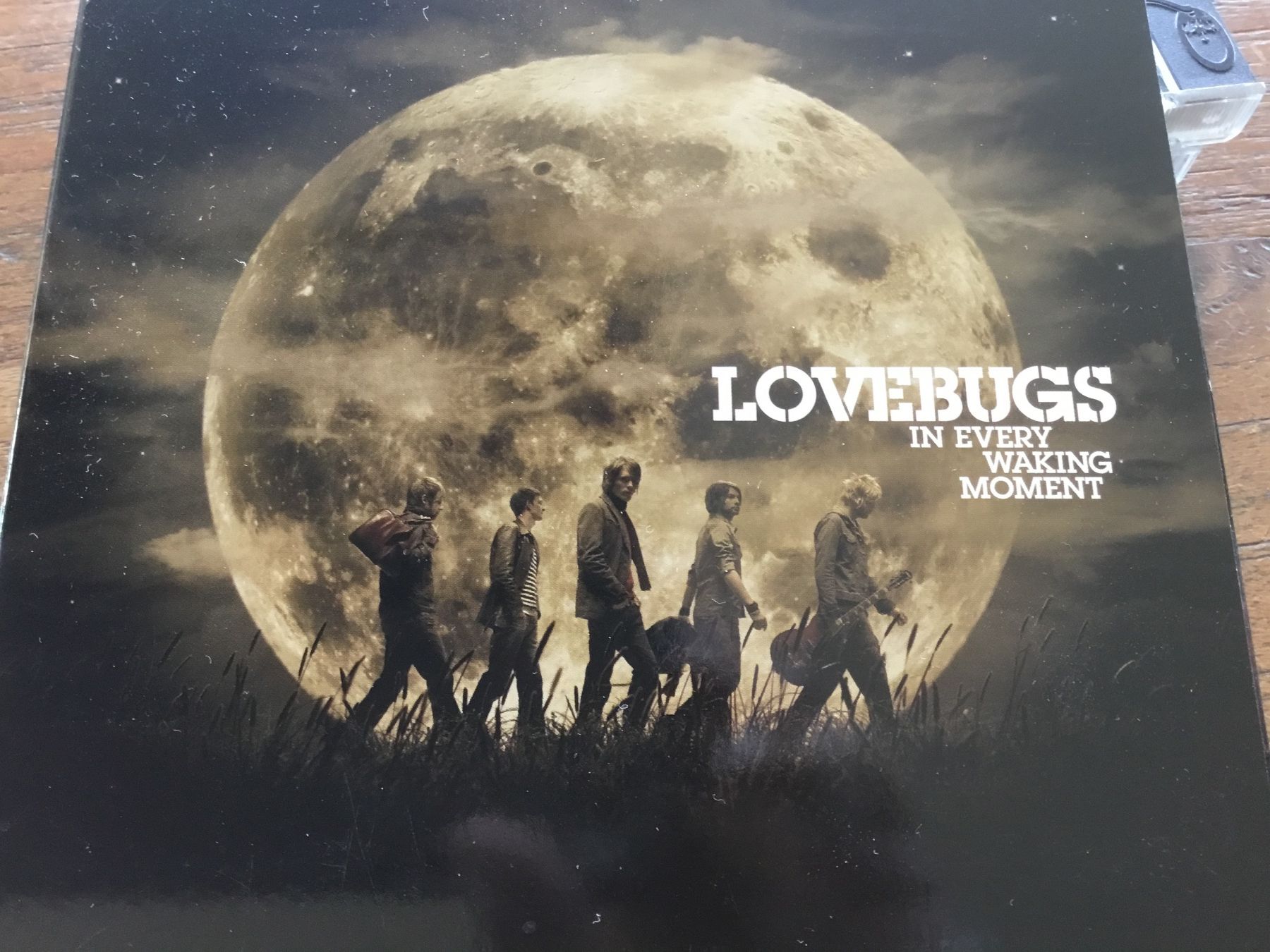 CDs: Lovebugs "In Every Waking Moment" CD – Gebraucht aus Thierachern von sweden08