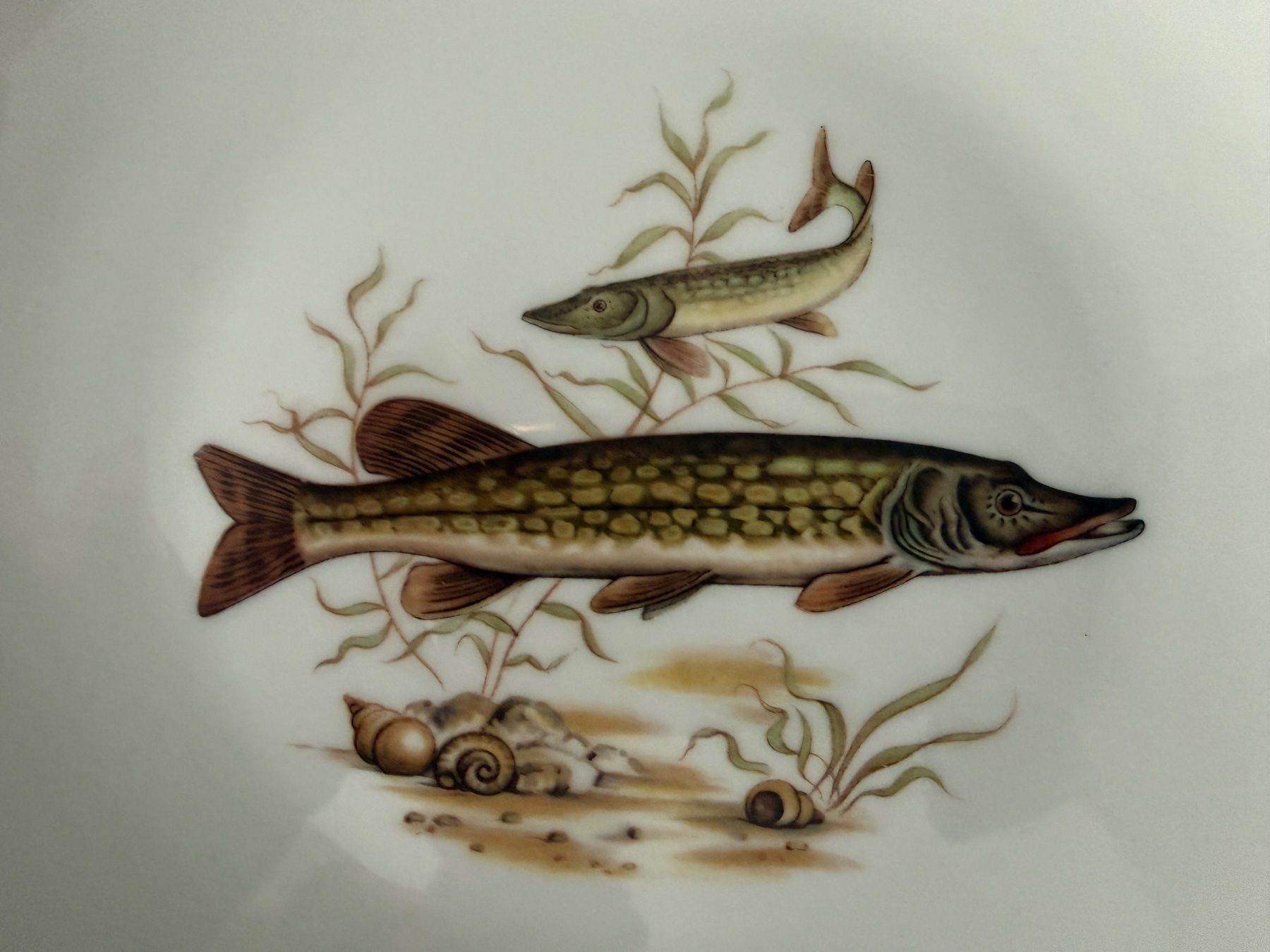 Winterling Geschirrsets: Servizio piatti pesce, 7 pezzi – Gebraucht aus Monte Carasso von Ely67 2