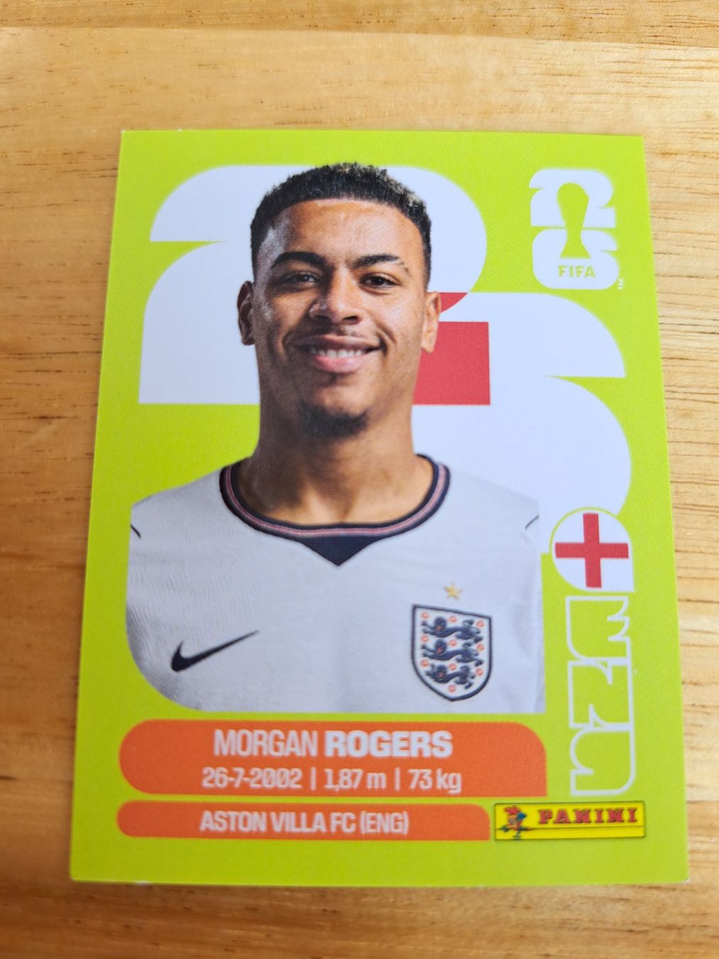Panini Carte collezionabili: Panini FIFA World Cup ENG 14 – Nuovo (secondo la descrizione) da Waldenburg venduto da Sysilu