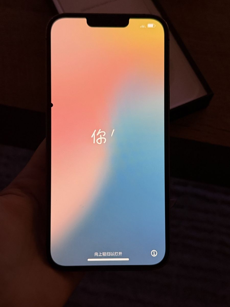 Apple Handys / Smartphones: iPhone 13 Pro Max – Gebraucht aus Sugiez von dor_xp8t 1