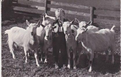 Ansichtskarten: Alte Ansichtskarte mit dem " Geissenpeter " 1958 – Gebraucht aus Schlieren von Rapaelli