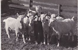 Alte Ansichtskarte mit dem " Geissenpeter " 1958