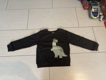 Pulli (ungetragen) Grösse 110/116