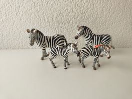 Schleich Zebra Familie Wild Life Zoo Tiere Herde