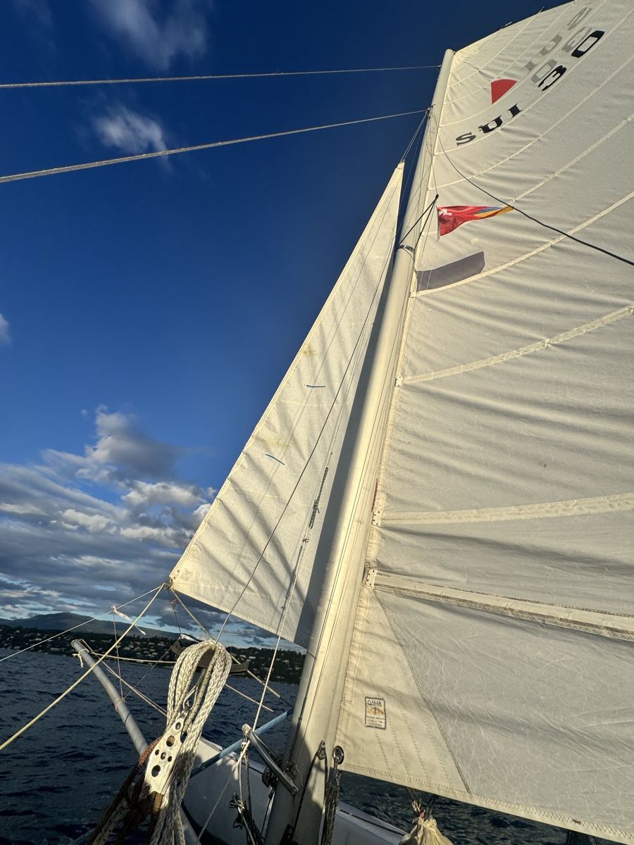 Bateaux: Catamaran - 20ft. – D'occasion à Genève par Artgatito 3