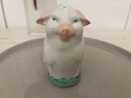 Schwein Vintage Salz Salzstreuer