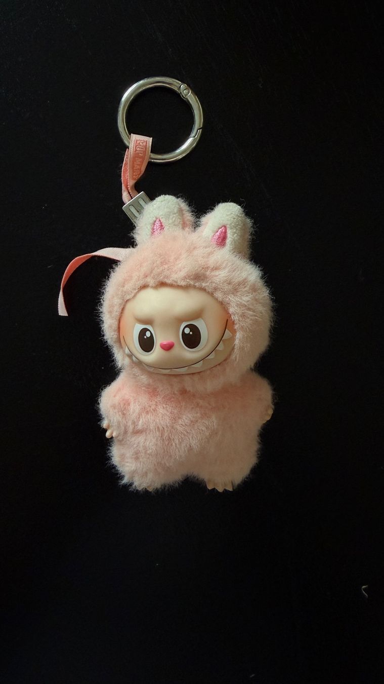 Pop Mart Schlüsselanhänger & - bänder: Labubu Keychain – Gebraucht aus Zürich von pre_vy7t