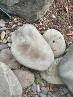 Gartensteine für den Einsatz in Gärten