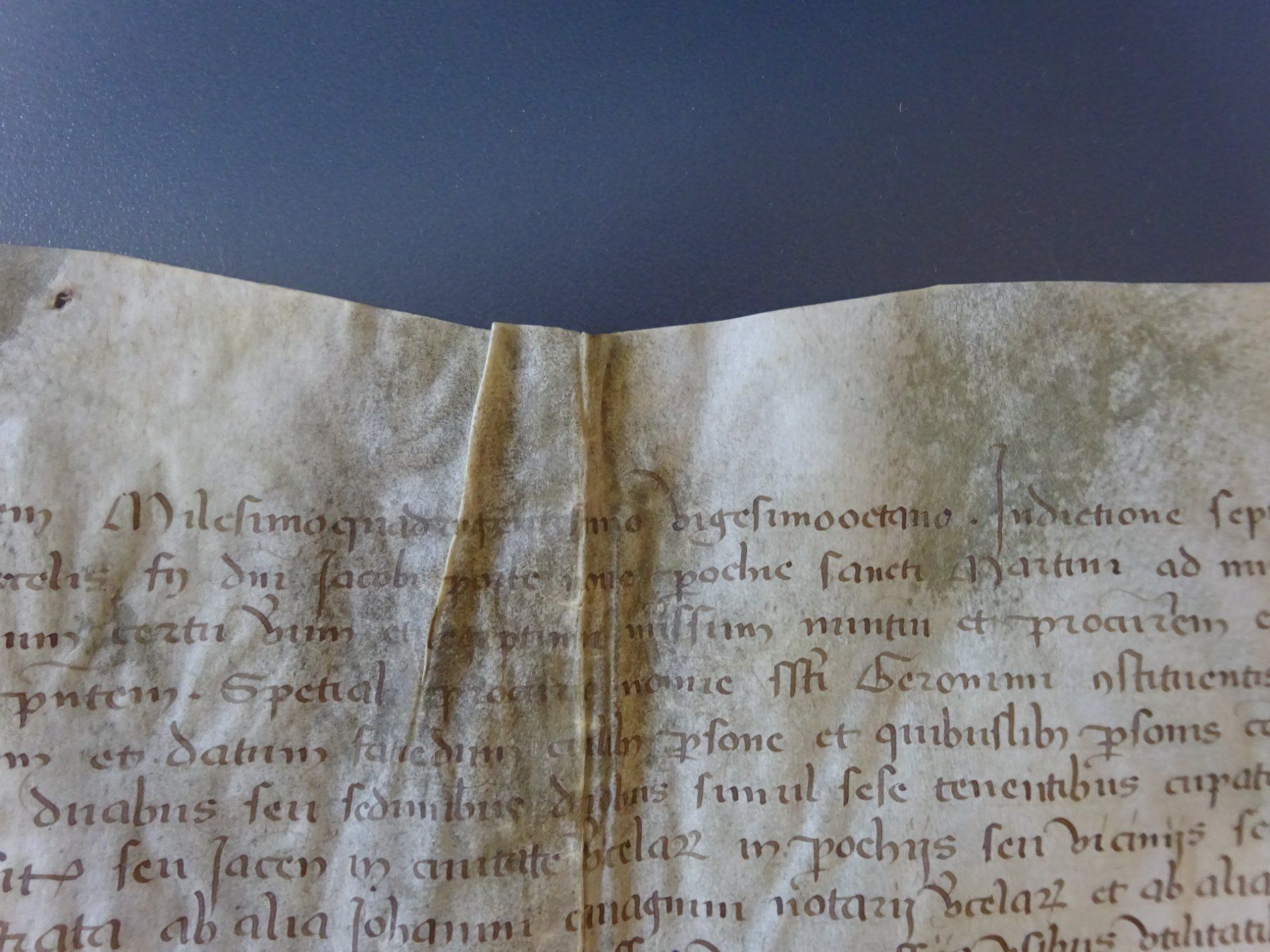 Bücher: Renaissance Handschrift Pergament 1489 Prokura – Gebraucht aus Esslingen von eintagammeer 7