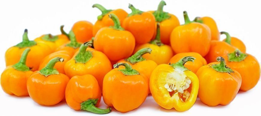 Piante & sementi: 30 Samen MINIBELL ORANGE Paprika – Nuovo (secondo la descrizione) da Ehrendingen venduto da VerveinaSamen 4