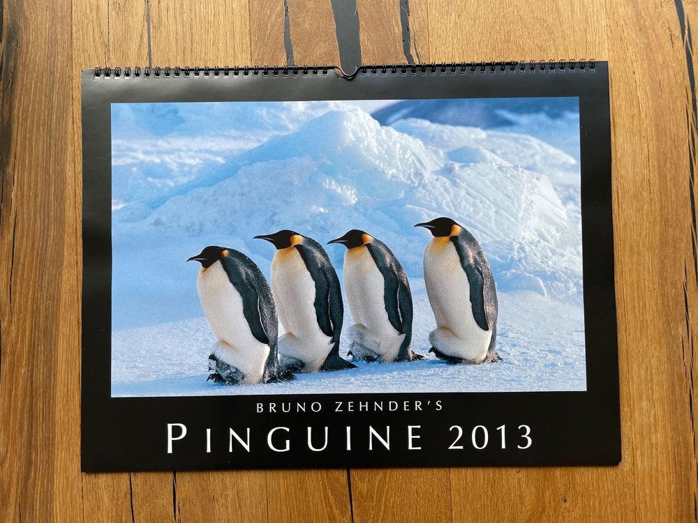 10 Pinguin-Kalender (von Bruno Zehnder) zum Basteln/Collagen  Kaufen 