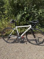Rennrad Price