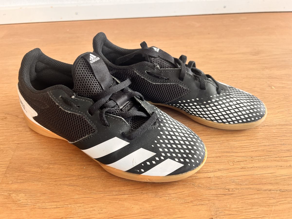 Adidas Herrenschuhe: Adidas Predator Hallenschuhe / Gr 36 – Gebraucht aus Kloten von sanibunny