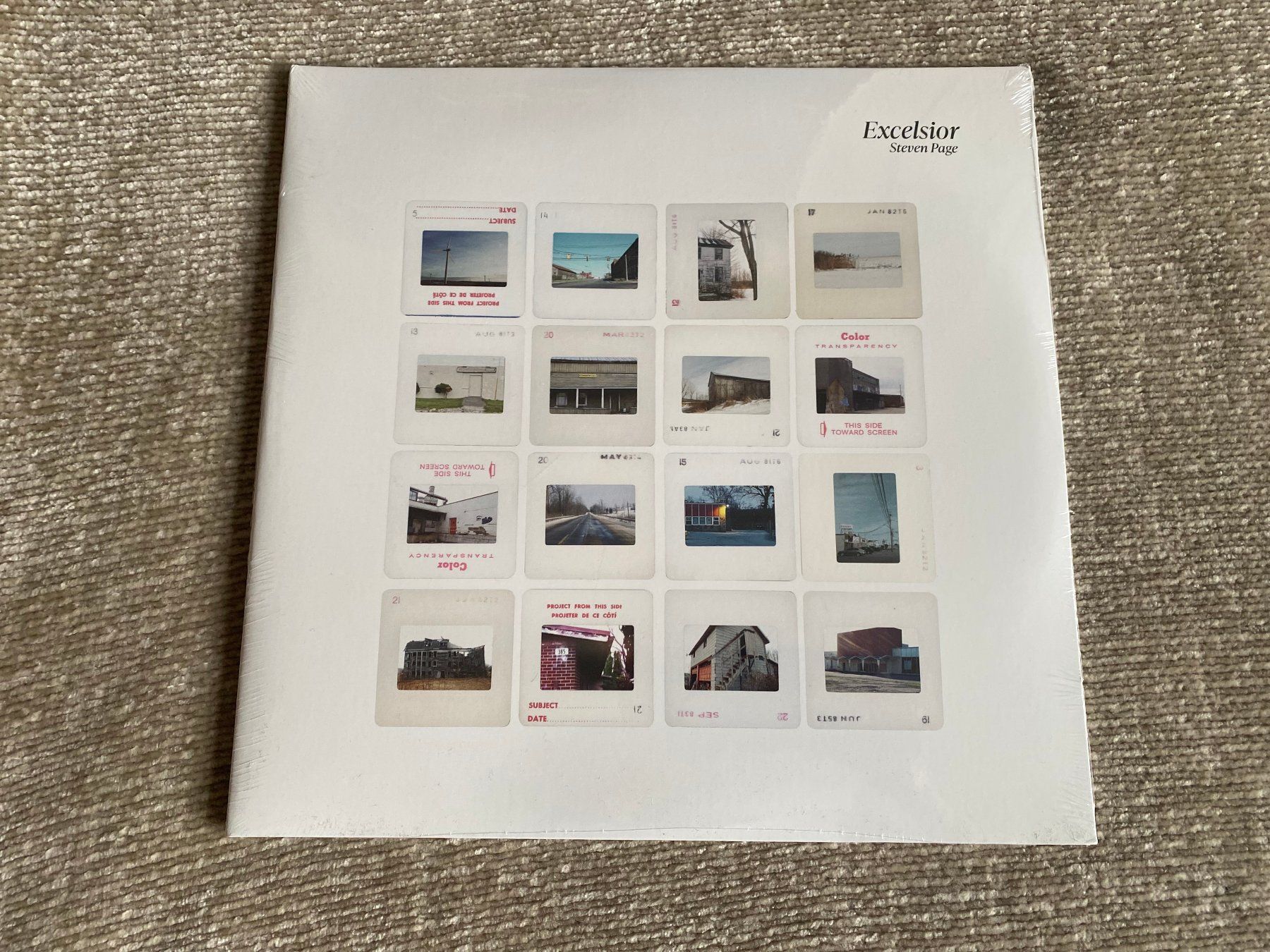 Dischi in vinile: Steven Page – Excelsior / 2 LPs – Nuovo (secondo la descrizione) da Basel venduto da Dinosauce