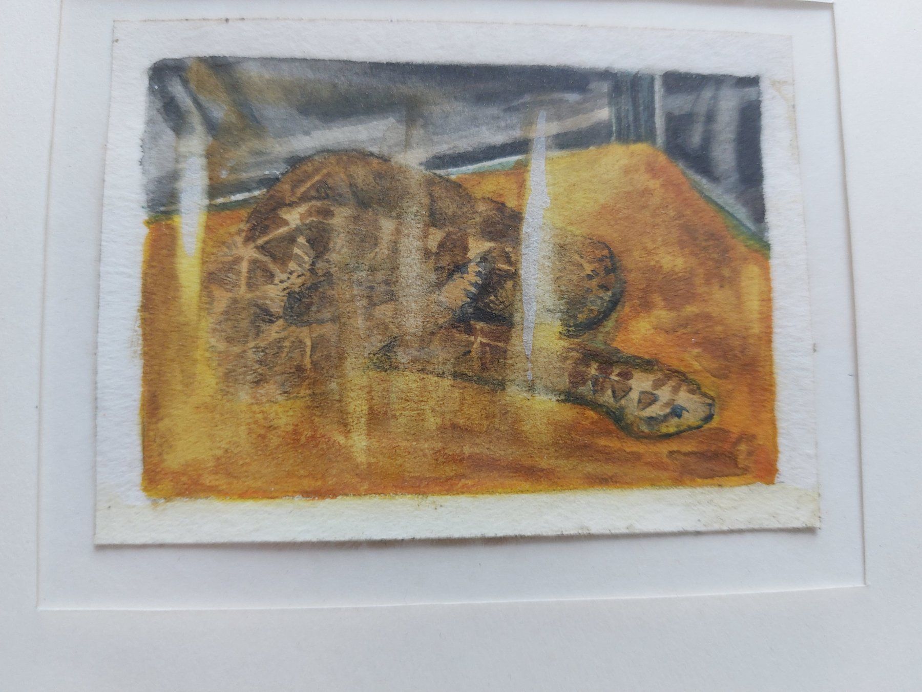 Tableaux: Acquarell von Thomas Bauer – D'occasion à Wädenswil par Eureka 5