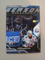 Eishockeykarte Sven Andrighetto ZSC Saison Breakdown