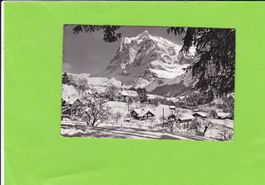 Grindelwald-Winter