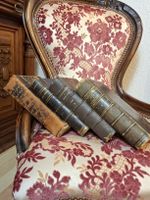 Antike franzoesische Jura Buecher 1895-1898 4 stk