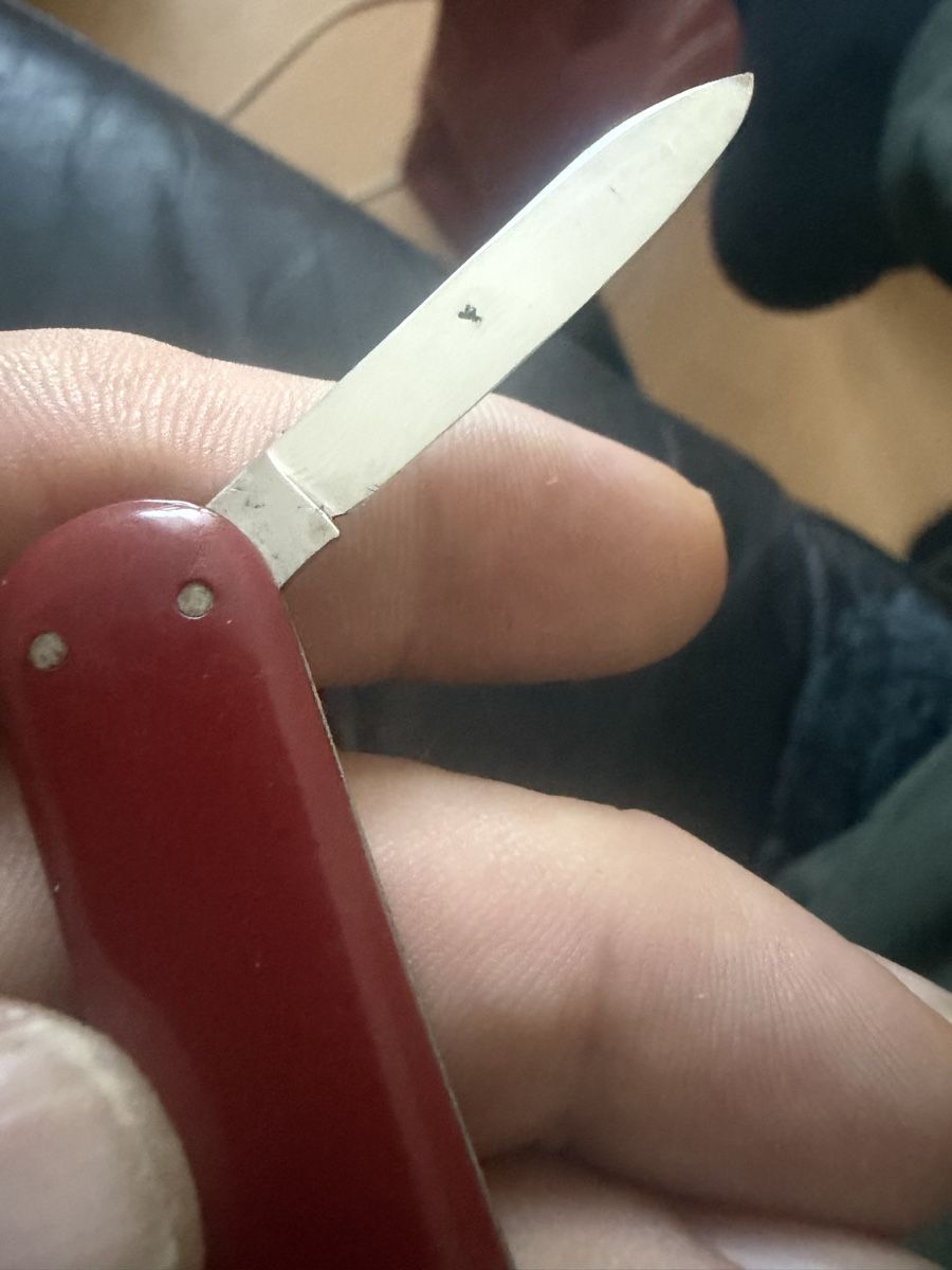 Coltelli tascabile: Sackmesser Inoxyd – Usato da Baden venduto da noli.r 4