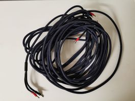 Paar Lautsprecherkabel Audioquest, 2x10m, B zu Y, versilbert