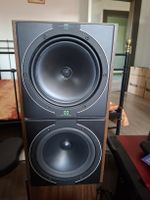 HP KEF C55