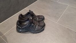 Salomonschuh