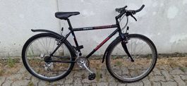 Kult Mtb Specialized