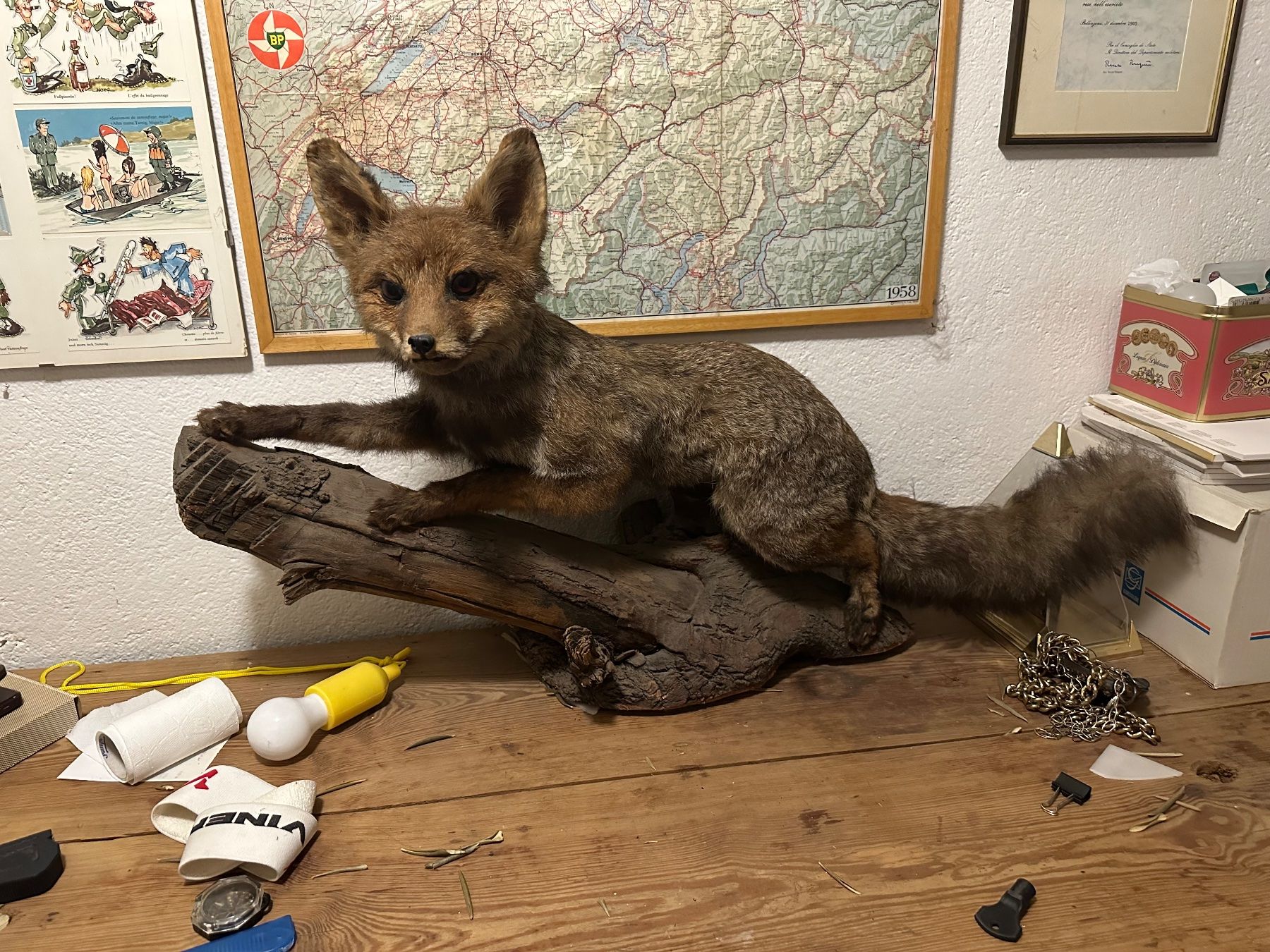 Welt der Tiere: Full Size Stuffed Fox – Gebraucht aus Mendrisio von Ul_fonta