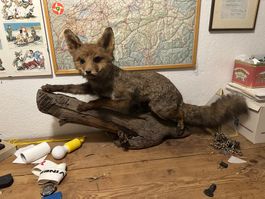 Full Size Stuffed Fox