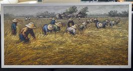 Feld