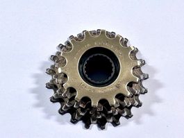 Regina EXTRA BX Freewheel Schraubkranz 6fach 14-21
