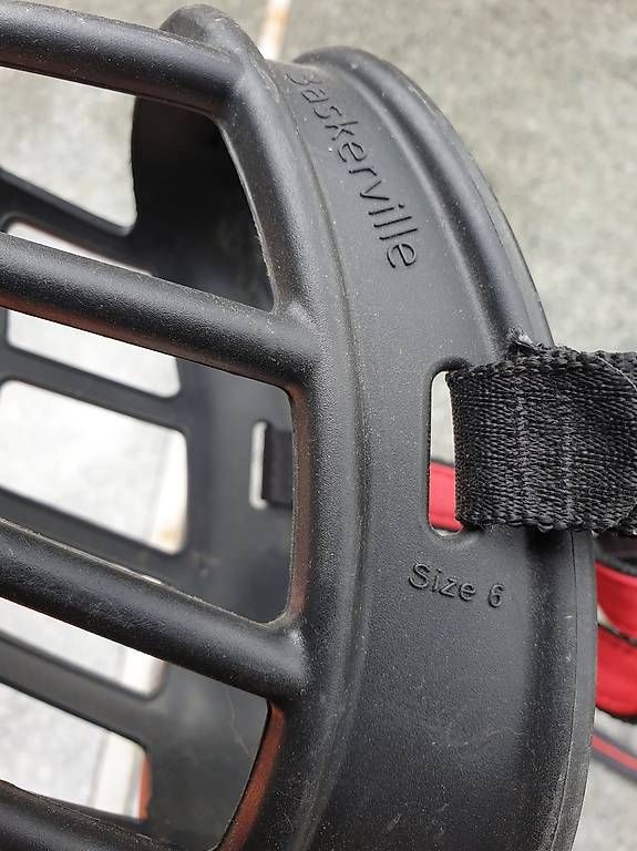 Sonstiges für Haushalt & Wohnen: Beisskorb – Gebraucht aus Rickenbach LU von trucker.s 1